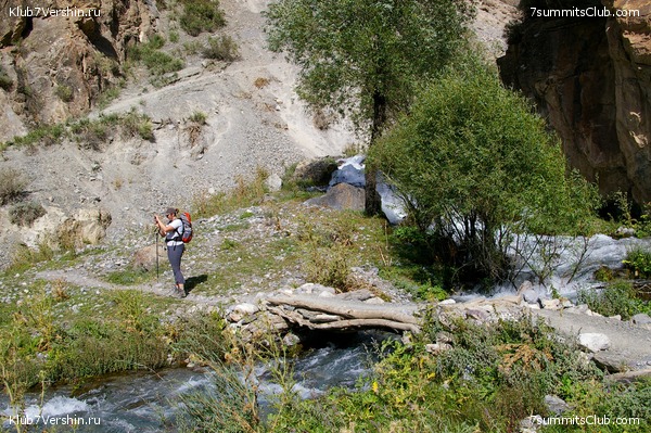 ����, ���� 5