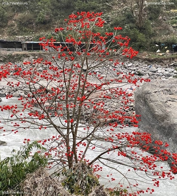 ����� 2022. ���� ������ ���������, ���� 56