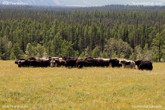 ������ ������ ��������, ���� 19