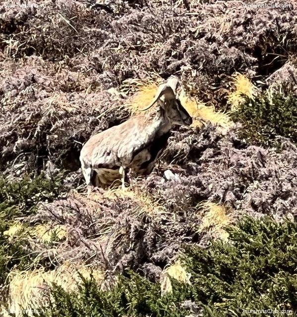 ����� 2022. ���� ������ ���������, ���� 47