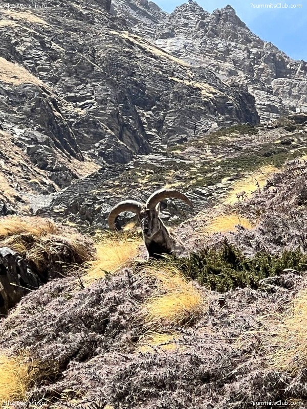 ����� 2022. ���� ������ ���������, ���� 82