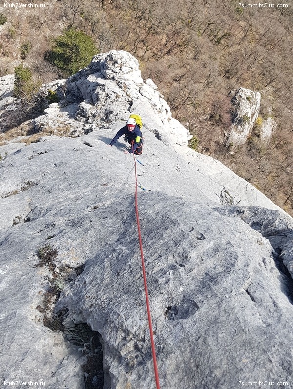 ����. ����� 2022 ����, ���� 31