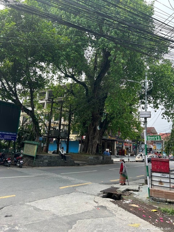 ����� 2022. ���� ������ ���������, ���� 84