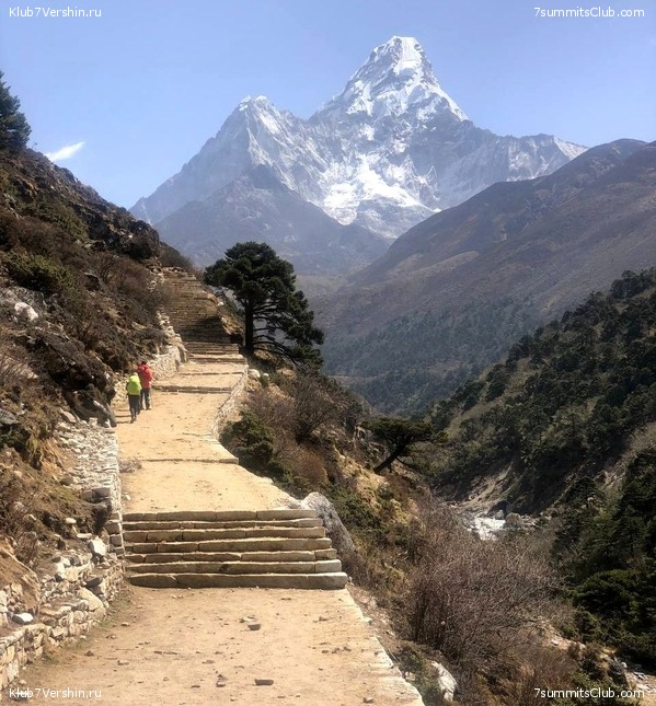 ������� 2022. ����������, ���� 45