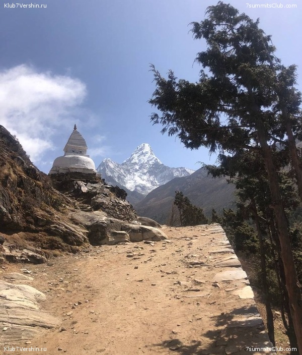 ������� 2022. ����������, ���� 49