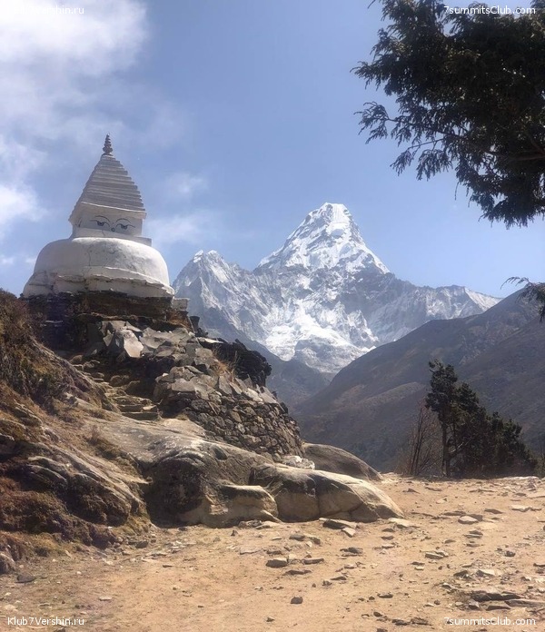 ������� 2022. ����������, ���� 48