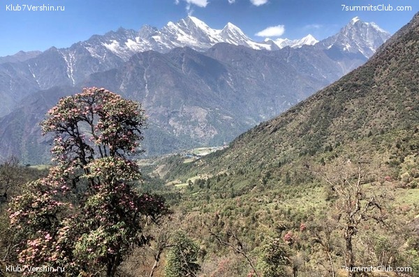 �����. ���� ���. ������ 2022. ������� �������, ���� 4