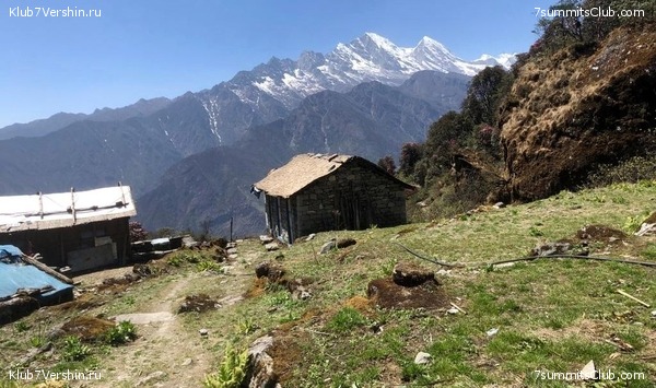 �����. ���� ���. ������ 2022. ������� �������, ���� 2