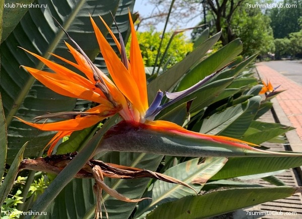 ������� 2022. ����� ���������. ����� 1. ����, ���� 99