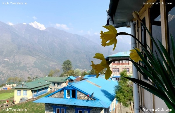 ������� 2022. ����� ���������. ����� 1. ����, ���� 17