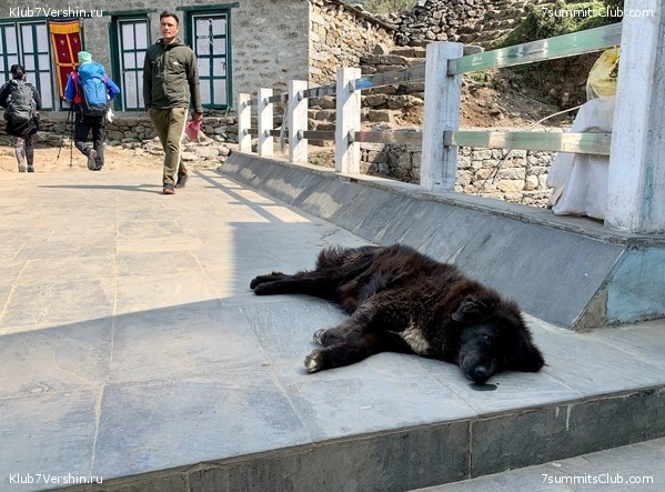 ������� 2022. ����� ���������. ����� 1. ����, ���� 119