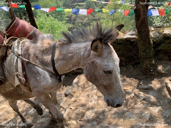 ������� 2022. ����� ���������. ����� 1. ����, ���� 171