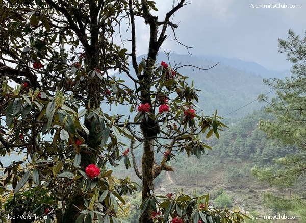 ������� 2022. ����� ���������. ����� 1. ����, ���� 101