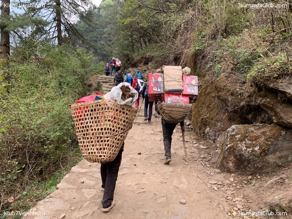 ������� 2022. ����� ���������. ����� 1. ����, ���� 173