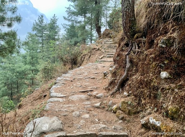 ������� 2022. ����� ���������. ����� 1. ����, ���� 129