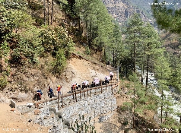 ������� 2022. ����� ���������. ����� 1. ����, ���� 120