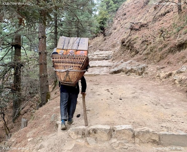 ������� 2022. ����� ���������. ����� 1. ����, ���� 284