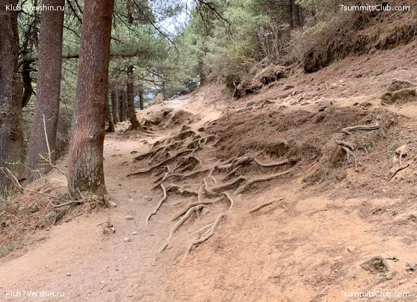 ������� 2022. ����� ���������. ����� 1. ����, ���� 102