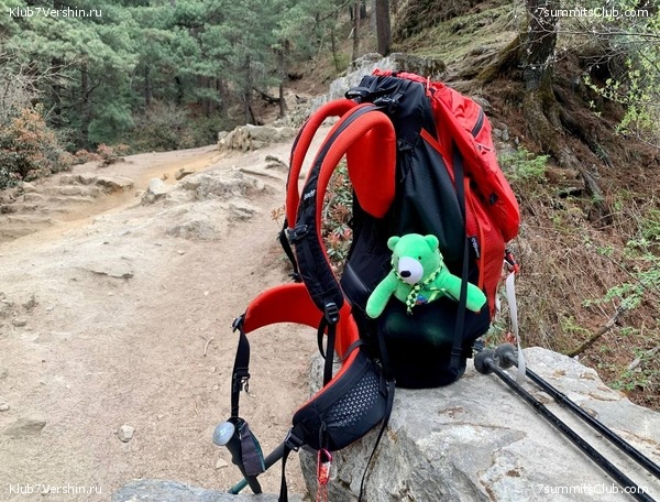 ������� 2022. ����� ���������. ����� 1. ����, ���� 256