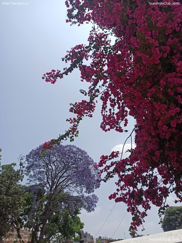 ������� 2022. ��������� "������������� � ��������" �. ���������, ���� 105