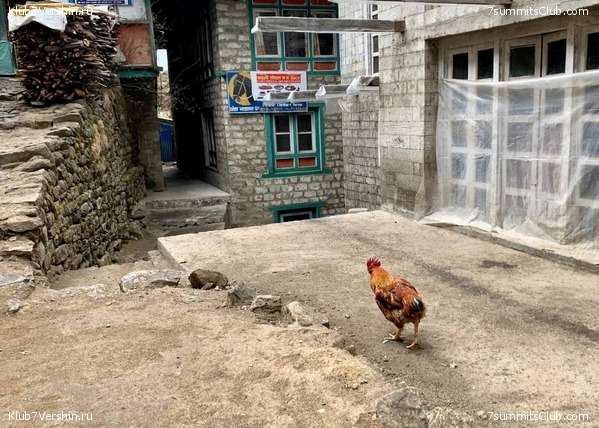 ������� 2022. ����� ���������. ����� 1. ����, ���� 79