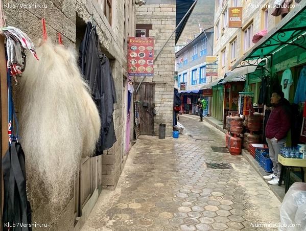 ������� 2022. ����� ���������. ����� 1. ����, ���� 199