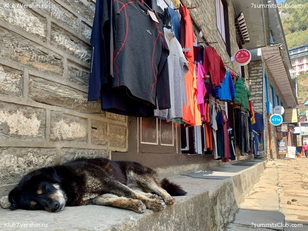 ������� 2022. ����� ���������. ����� 1. ����, ���� 200