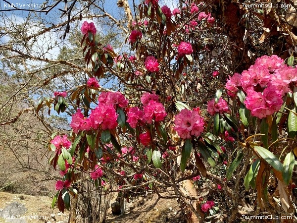 ������� 2022. ����� ���������. ����� 1. ����, ���� 204