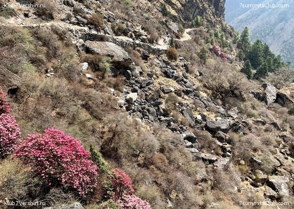 ������� 2022. ����� ���������. ����� 1. ����, ���� 80