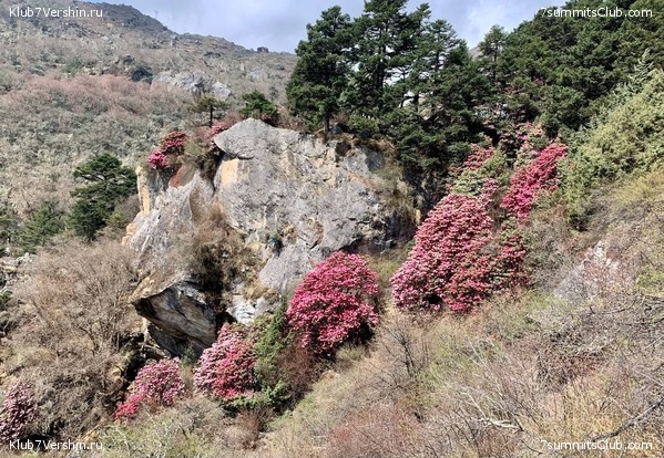 ������� 2022. ����� ���������. ����� 1. ����, ���� 48