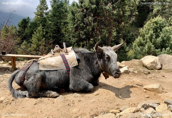 ������� 2022. ����� ���������. ����� 1. ����, ���� 42