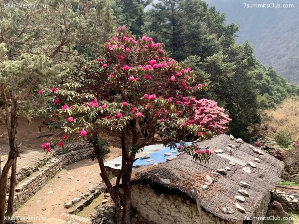 ������� 2022. ����� ���������. ����� 1. ����, ���� 205