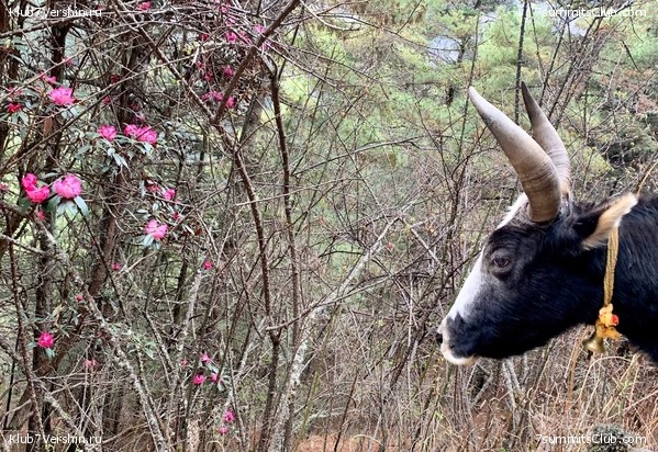 ������� 2022. ����� ���������. ����� 1. ����, ���� 43