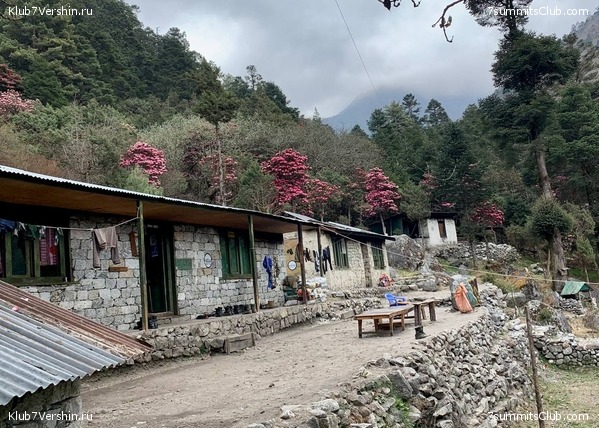 ������� 2022. ����� ���������. ����� 1. ����, ���� 81