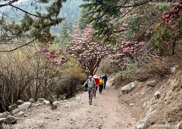 ������� 2022. ����� ���������. ����� 1. ����, ���� 70