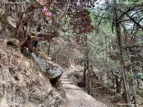 ������� 2022. ����� ���������. ����� 1. ����, ���� 140