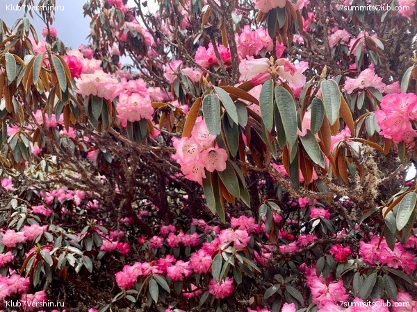 ������� 2022. ����� ���������. ����� 1. ����, ���� 207