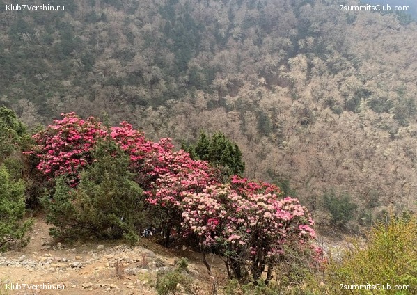 ������� 2022. ����� ���������. ����� 1. ����, ���� 71