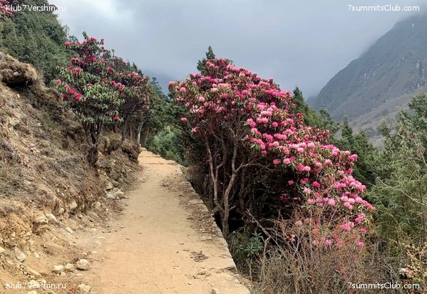 ������� 2022. ����� ���������. ����� 1. ����, ���� 44