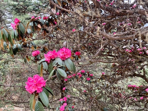 ������� 2022. ����� ���������. ����� 1. ����, ���� 208