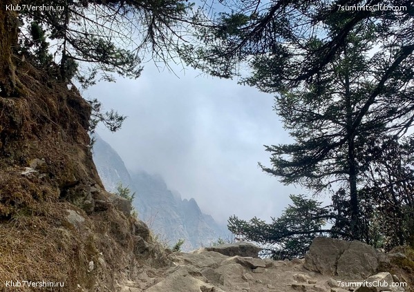 ������� 2022. ����� ���������. ����� 1. ����, ���� 72