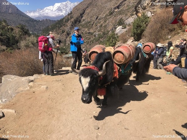 ������� 2022. ������ ����������, ���� 61