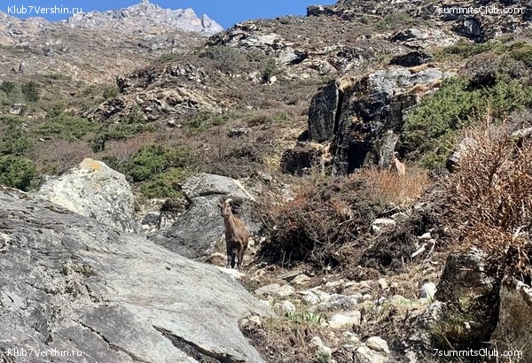 ������� 2022. ����� ���������. ����� 1. ����, ���� 35