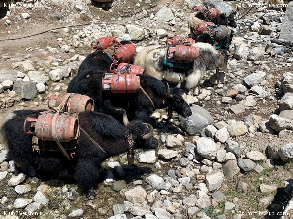 ������� 2022. ����� ���������. ����� 1. ����, ���� 141