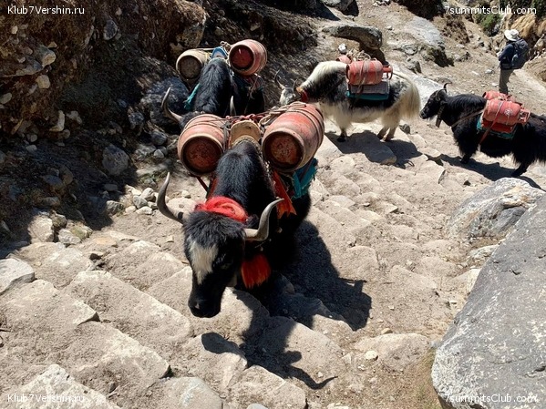 ������� 2022. ����� ���������. ����� 1. ����, ���� 142