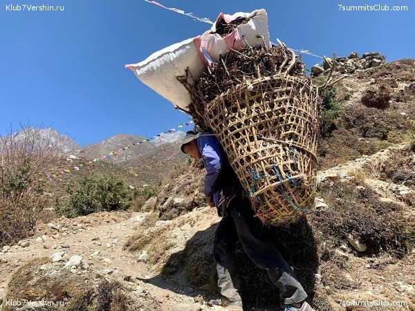 ������� 2022. ����� ���������. ����� 1. ����, ���� 211