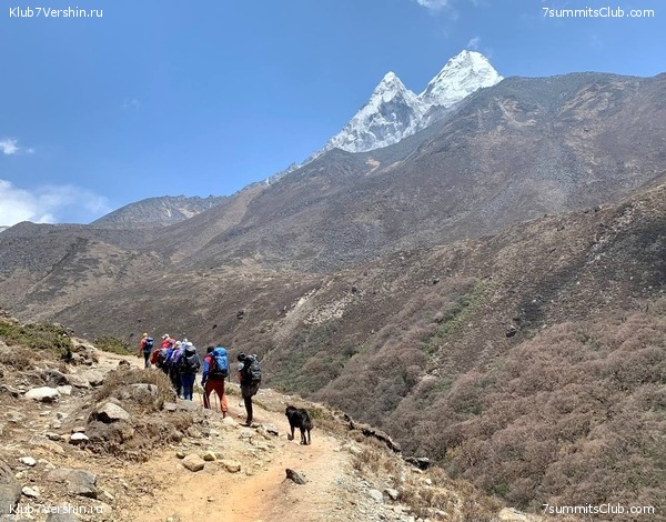 ������� 2022. ����� ���������. ����� 1. ����, ���� 277