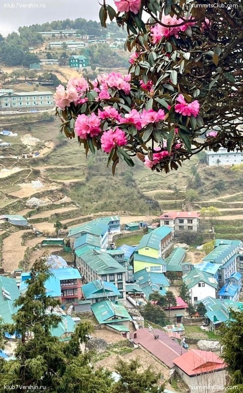 ������� 2022. ��������� "������������� � ��������" �. ���������, ���� 137