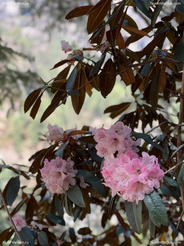  2022.  "  " . ,  132