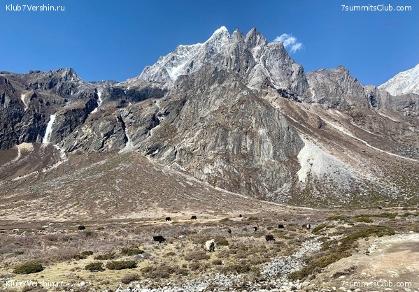 ������� 2022. ����� ���������. ����� 1. ����, ���� 55